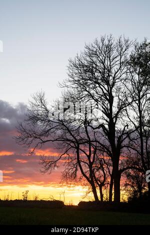 Banda di nuvole di pioggia al tramonto sulla campagna del cotswold con alberi a profilo. Cotswolds, Gloucestershire, Inghilterra Foto Stock