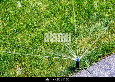 Testa dell'irrigatore che disperde l'acqua sull'erba. Spruzzatore automatico dell'erba che spruzzano l'acqua sul prato da vicino. Foto Stock