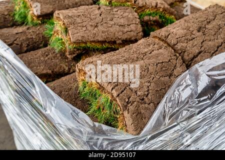 Pile di rotoli di zolla su pallet per il nuovo prato. Messa a fuoco selettiva. Foto Stock