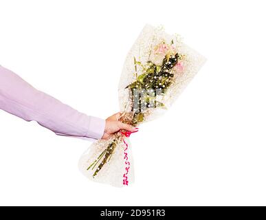 Mano che tiene un bel bouquet con rose. Isolato su sfondo bianco. L'uomo dà un bouquet di rose Foto Stock