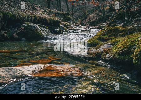 Un fiume che scorre tra rocce mussose nella natura selvaggia Foto Stock