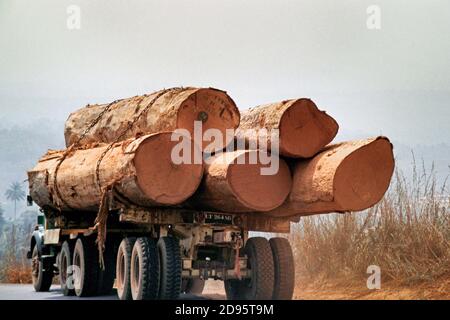 Autocarri caricati con legno tropicale sulla strada principale, Regione Occidentale, Camerun, Africa Foto Stock