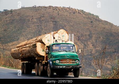 Autocarri caricati con legno tropicale sulla strada principale, Regione Occidentale, Camerun, Africa Foto Stock