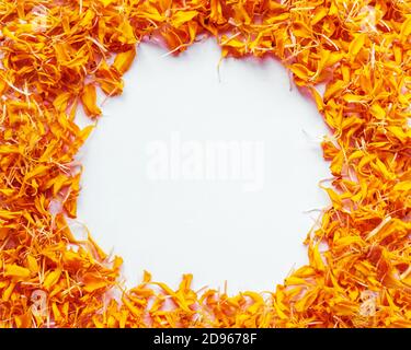 Petali di fiori marigold arancioni isolati su sfondo bianco con spazio di copia al centro. Poster per Diwali Wishing, biglietto di auguri, religioso indù fe Foto Stock