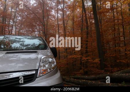 Incredibile vista della foresta autunnale con un camper e alberi alti con foglie rosse e gialle.viaggio e concetto di libertà di viaggio, turismo in RV (ricreazione Foto Stock