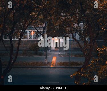 La luce del tramonto splende attraverso una porta d'ingresso dell'edificio residenziale attraverso rami di albero Foto Stock