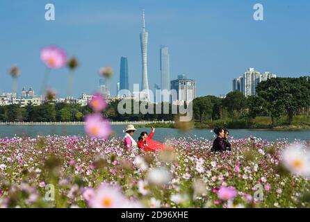 Guangzhou, la provincia cinese di Guangdong. 3 Nov 2020. I turisti posano per le foto in mezzo ai fiori di cosmo al Parco delle paludi di Haizhu a Guangzhou, capitale della provincia del Guangdong della Cina meridionale, 3 novembre 2020. Credit: Liu Dawei/Xinhua/Alamy Live News Foto Stock