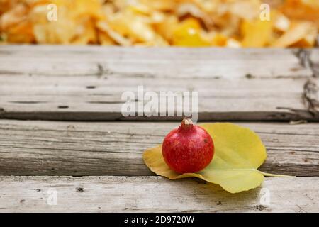 Una piccola laminazione di melograno con foglia di fico su tavola di legno Foto Stock