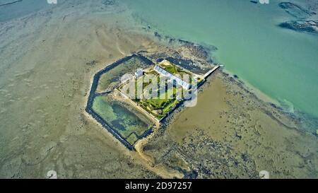 Saint-Armel (Bretagna, Francia nord-occidentale): Vista aerea dell'isola Quistinica nel golfo di Morbihan, vecchia pesca Foto Stock