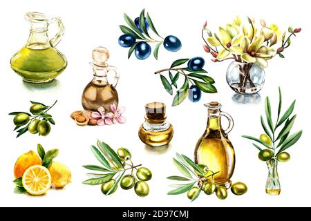 Set di elementi per la progettazione di etichette, illustrazioni acquerello di rami di olive e bottiglie con olio d'oliva, acquerello realistico Foto Stock