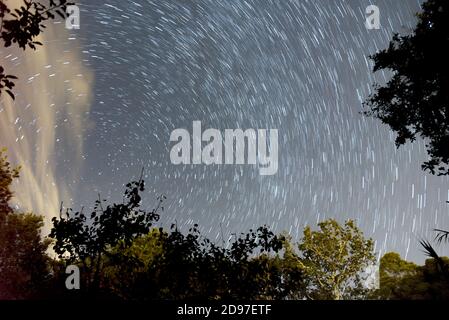 cielo di stelle che girano intorno a pole star da una radura in una foresta di querce. Foto Stock