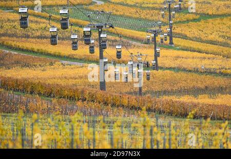 03 novembre 2020, Hessen, Rüdesheim: Le cabine della funivia si trovano ancora sopra i vigneti gialli che brillano sopra Rüdesheim. Un blocco parziale di quattro settimane è in vigore in tutta la Germania per rallentare la diffusione del coronavirus. Foto: Arne Dedert/dpa Foto Stock