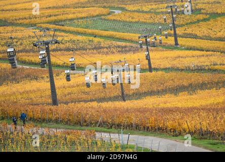 03 novembre 2020, Hessen, Rüdesheim: Le cabine della funivia si trovano ancora sopra i vigneti gialli che brillano sopra Rüdesheim. Un blocco parziale di quattro settimane è in vigore in tutta la Germania per rallentare la diffusione del coronavirus. Foto: Arne Dedert/dpa Foto Stock