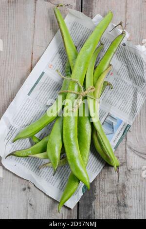 Phaseolus coccineus "Firestorm". Fagioli di runner appena raccolti su un tavolo da giardino. REGNO UNITO Foto Stock