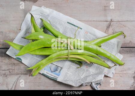 Phaseolus coccineus "Firestorm". Fagioli di runner appena raccolti su un tavolo da giardino. REGNO UNITO Foto Stock