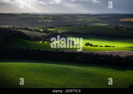 La suggestiva luce solare autunnale cade nella campagna dell'Hampshire, tipica del parco nazionale di South Downs in Inghilterra. Vista dalla vecchia WIncheste Foto Stock