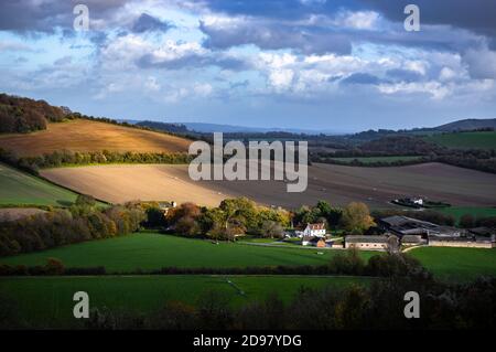 La suggestiva luce solare autunnale cade nella campagna dell'Hampshire, tipica del parco nazionale di South Downs in Inghilterra. Vista dalla vecchia WIncheste Foto Stock