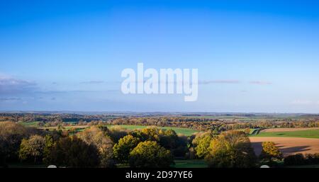 La calda luce della sera cade in una scena rurale della campagna dell'Hampshire nel parco nazionale di South Downs, Inghilterra. Immagine panoramica ad alta risoluzione Foto Stock