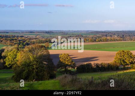 La calda luce della sera cade in una scena rurale della campagna dell'Hampshire nel parco nazionale di South Downs, Inghilterra. Foto Stock