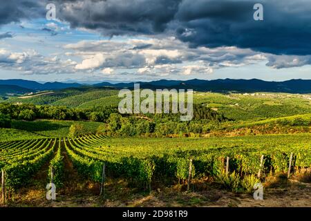Paesaggio toscano con campi coltivati e colline ondulate. Pittoresche nuvole estive. Vista panoramica. Foto Stock