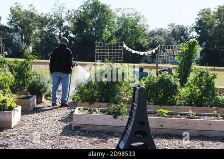 Giardini urbani con mini biblioteca, tubo spiralato, anatre e oche, verdure, fiori, cavolo, girasoli, pomodori, peperoni e tubazioni di rame per l'acqua. Foto Stock