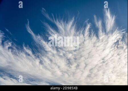 nuvole di cirrus sfilacciate su cielo blu profondo Foto Stock