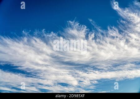 nuvole di cirrus sfilacciate su cielo blu profondo Foto Stock