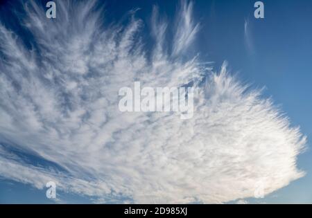 nuvole di cirrus sfilacciate su cielo blu profondo Foto Stock