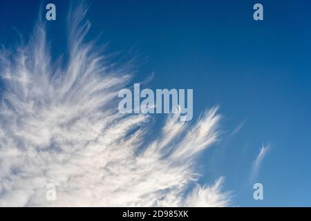 nuvole di cirrus sfilacciate su cielo blu profondo Foto Stock