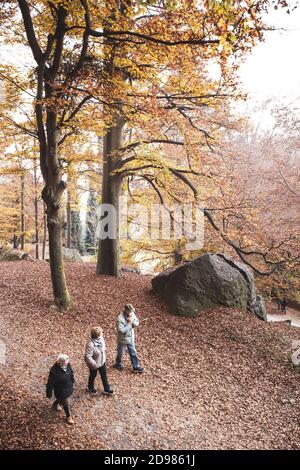 ITALIA, AUTUNNO PRESSO LA RISERVA NATURALE BURCINA: La Riserva Naturale Felice Piacenza del Parco Burcina è un'area protetta, boscosa, larga circa 57 ettari. È stato istituito nel 1980 con una legge del Governo della Regione Piemonte. Si trova all'interno dei comuni di Pollone e Biella. Il comune di Biella possiede quasi tre quarti dell'intera superficie. Foto Stock