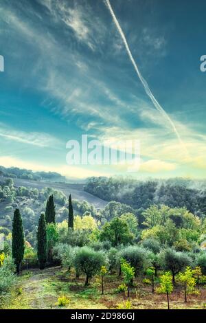 Idilliaco paesaggio estivo in Toscana Italia. Alberi verdi e cielo blu. Verticale. Foto Stock