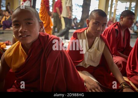 Dharamsala, India 2009 luglio. Ritratto di giovani monaci tibetani in un tempio buddista a Mcleod Ganj, Little Lhasa. Foto Stock