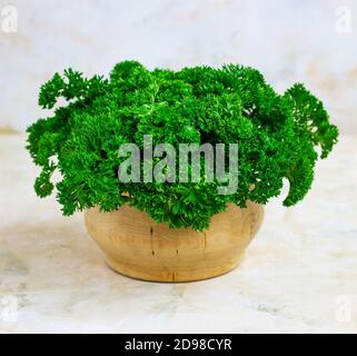 prezzemolo fresco su sfondo chiaro. Un mazzo di prezzemolo, vegetarianismo Foto Stock