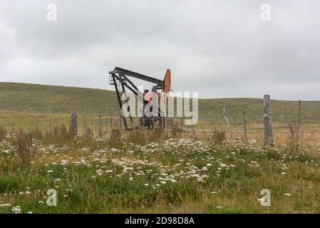 Pompa di petrolio, pompa di estrazione in un campo di petrolio, Patagonia, Argentina Foto Stock