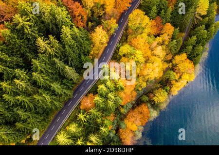 Vista aerea della fitta foresta e del lago in autunno. Strada solitaria senza auto che tagliano la scena. Foto Stock