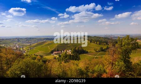Vista dal Castello di Staufenberg alla Valle del Reno con viti vicino al villaggio di Durbach nella regione di Ortenau Baden, Baden Wuerttemberg, Germania Foto Stock