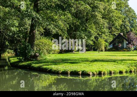 Lübbenau, Foresta Sprea, Waterway, Biosferereserve, Lausitz Brandenburg, Germania Est, Europa Foto Stock