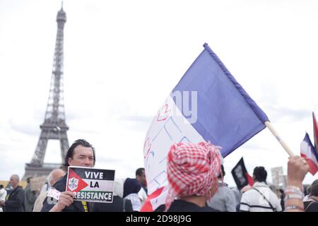 I sostenitori del popolo palestinese si sono riuniti in piazza Trocadero a Parigi il 28 agosto 2014 per denunciare la colonizzazione dei territori palestinesi Foto Stock