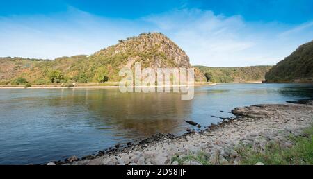 Lorelei Rock sopra il fiume Reno, patrimonio dell'umanità dell'UNESCO, Sankt Goarshausen, Renania-Palatinato, Germania, Europa Foto Stock