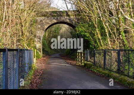 Tarka Trail Iron Bridge Vista invernale a Beam Weir: Guardando sotto il Ponte Vecchio di Roving verso Bideford. Tarka Trail, Great Torrington, Devon, Inghilterra. Foto Stock