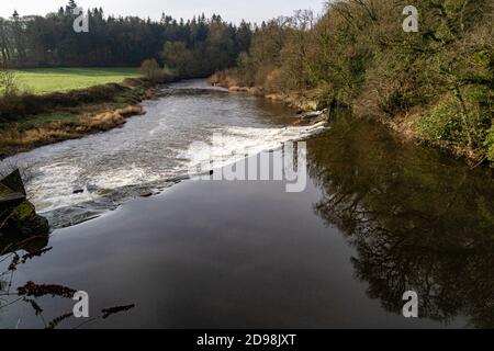 Beam Weir e riflessi invernali sul fiume Torridge. Vista dal Tarka Trail vicino a Great Torrington, Devon. Foto Stock