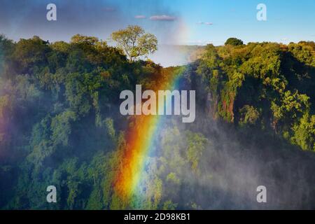 Rainbow sulle Cascate Victoria, fiume Zambesi, Africa Foto Stock