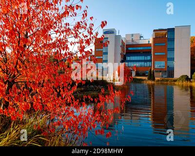 Espoo, Finlandia - 1 ottobre 2019: Sede centrale della società Orion situata a Espoo, Finlandia, la soleggiata sera di ottobre con i colori autunnali sulla f Foto Stock