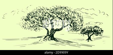 Paesaggio di uliveto in colori verde tenui, design in stile legno, doodle disegnato a mano, illustrazione di schizzo Foto Stock