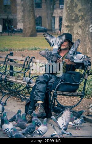 Larry Reddick, conosciuto come Larry the Birdman, che alimenta un gregge di piccioni nel Washington Square Park, Greenwich Village, New York City, USA Foto Stock