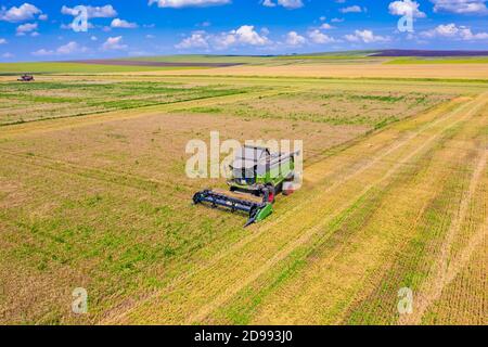 Vista aerea della mietitrebbia in funzione nel campo dei cereali, macchina agricola che raccoglie i cereali. Foto Stock