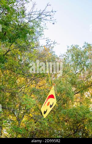 Aquilone bloccato in alberi Foto Stock