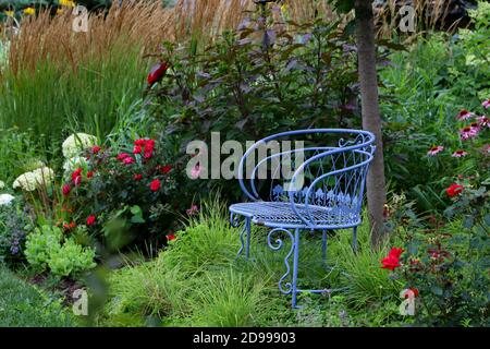 Una panchina blu d'epoca in un incantevole paesaggio del giardino del Midwest Esplodere con rose knockout rosso ciliegia che si intrecchiano con la meraviglia di mezzanotte ibisco rosso Foto Stock