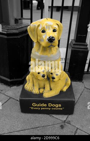 Guida Dogs Donation Box a Moor Street Station Birmingham England REGNO UNITO Foto Stock