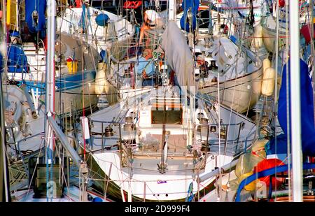 Barca a vela festeggiamenti il giorno prima della gara di barche a vela da Port Huron Michigan all Isola di Mackinaw City sul Lago Huron Foto Stock